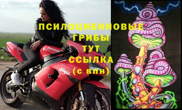 гидропоника Елабуга