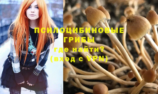 мескалин Ельня