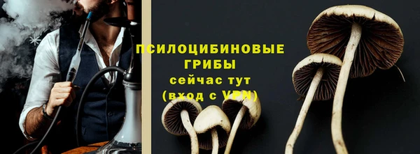 мескалин Ельня