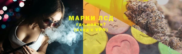 гидропоника Елабуга