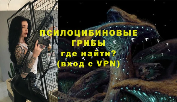 таблы Дмитровск