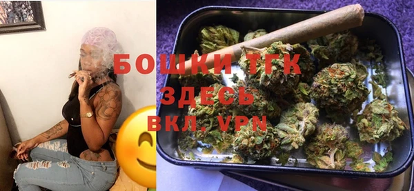 гидропоника Елабуга