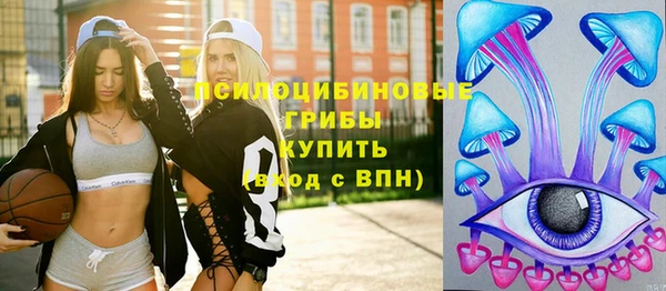 a pvp Дмитриев