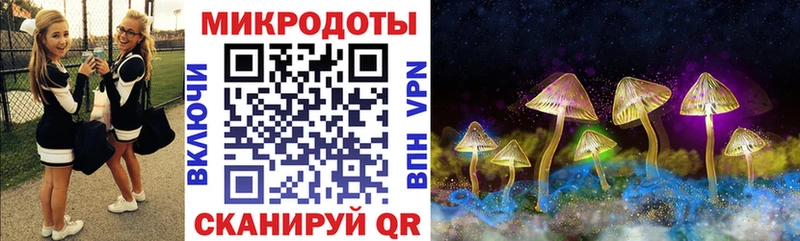 Купить  Мензелинск  Псилоцибиновые грибы Cubensis 